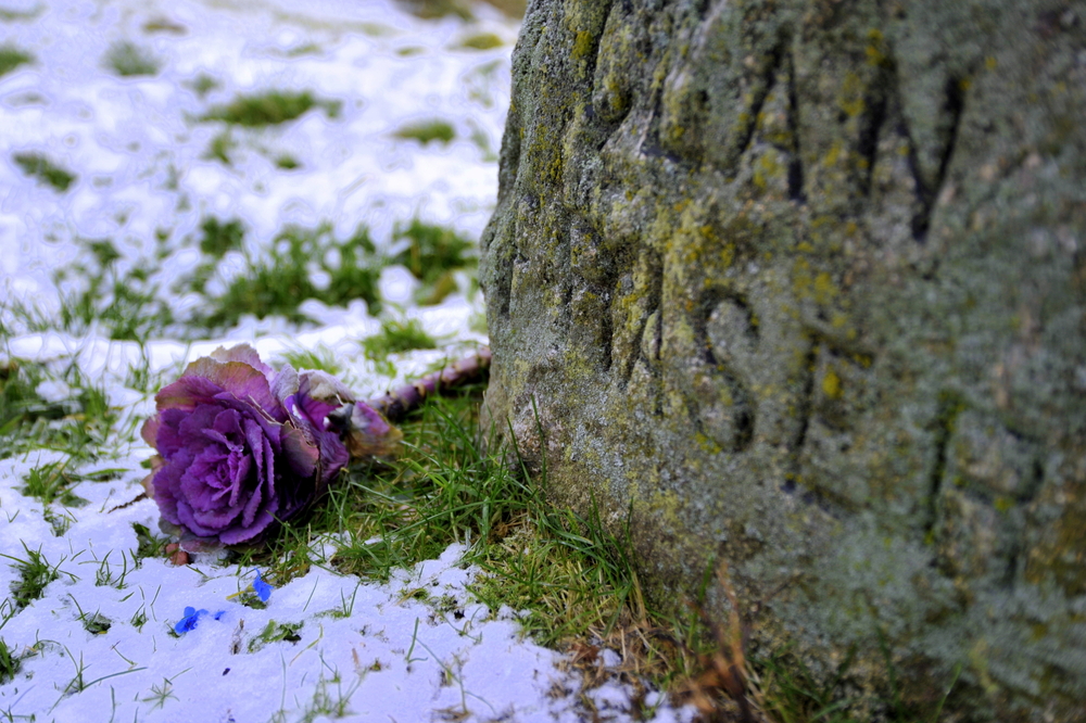 Outlander Blood of My Blood: cosa c’è da sapere sul prequel tanto atteso